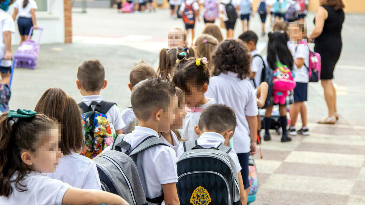 Benidorm entregará a los centros escolares 155.000 euros para acciones sociales, educativas y de mantenimiento