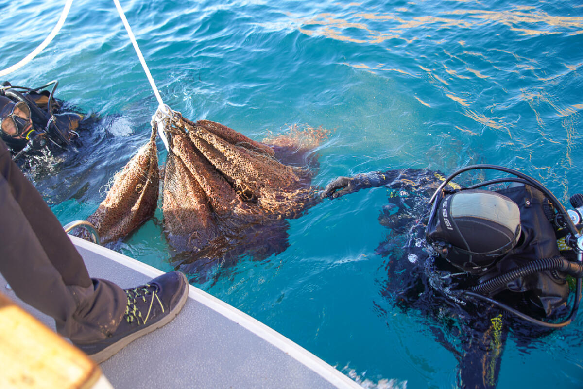 La nacra, los esfuerzos por recuperar una especie emblemática