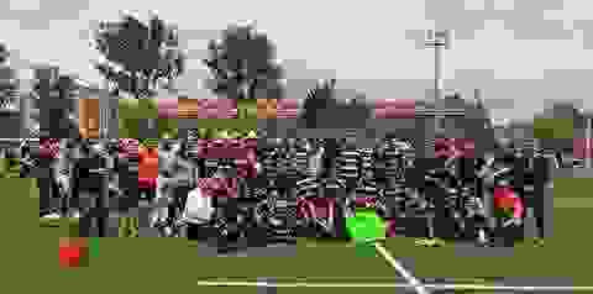 Club Rugby La Vila se impone al Aparejadores de Burgos en San Amaro 