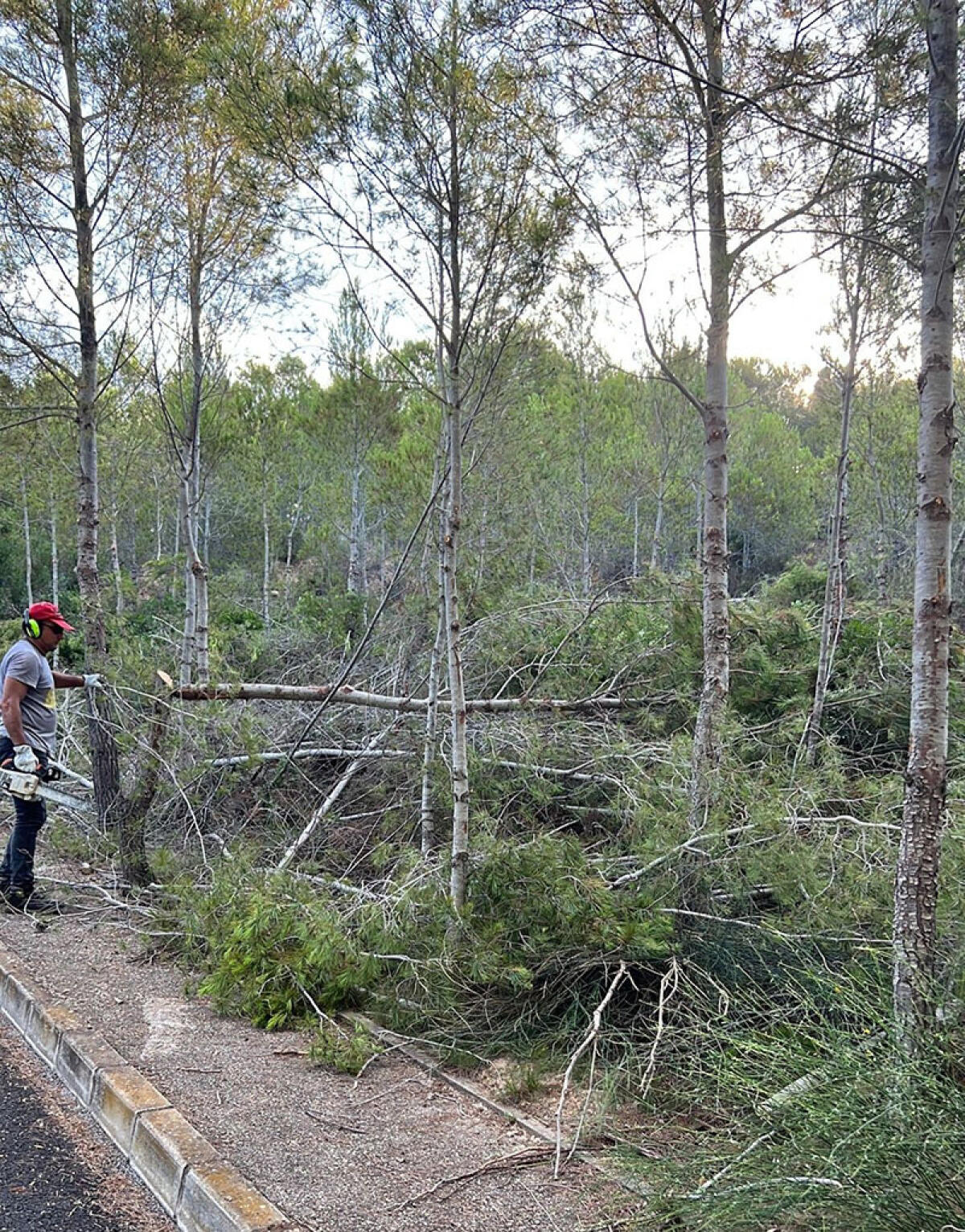 El Ayuntamiento ejecuta acciones contra incendios en Alhama Spring, Sierra de Altea I, Sierra de Altea Golf, Mascarat, La Mallà y Isla de Altea