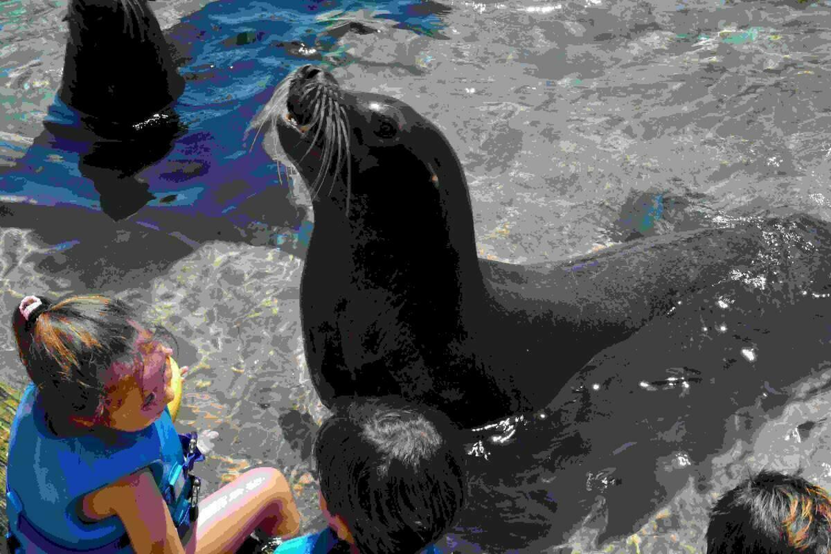 Terra Natura Benidorm abre el plazo de inscripci&oacute;n para la Escuela de Verano