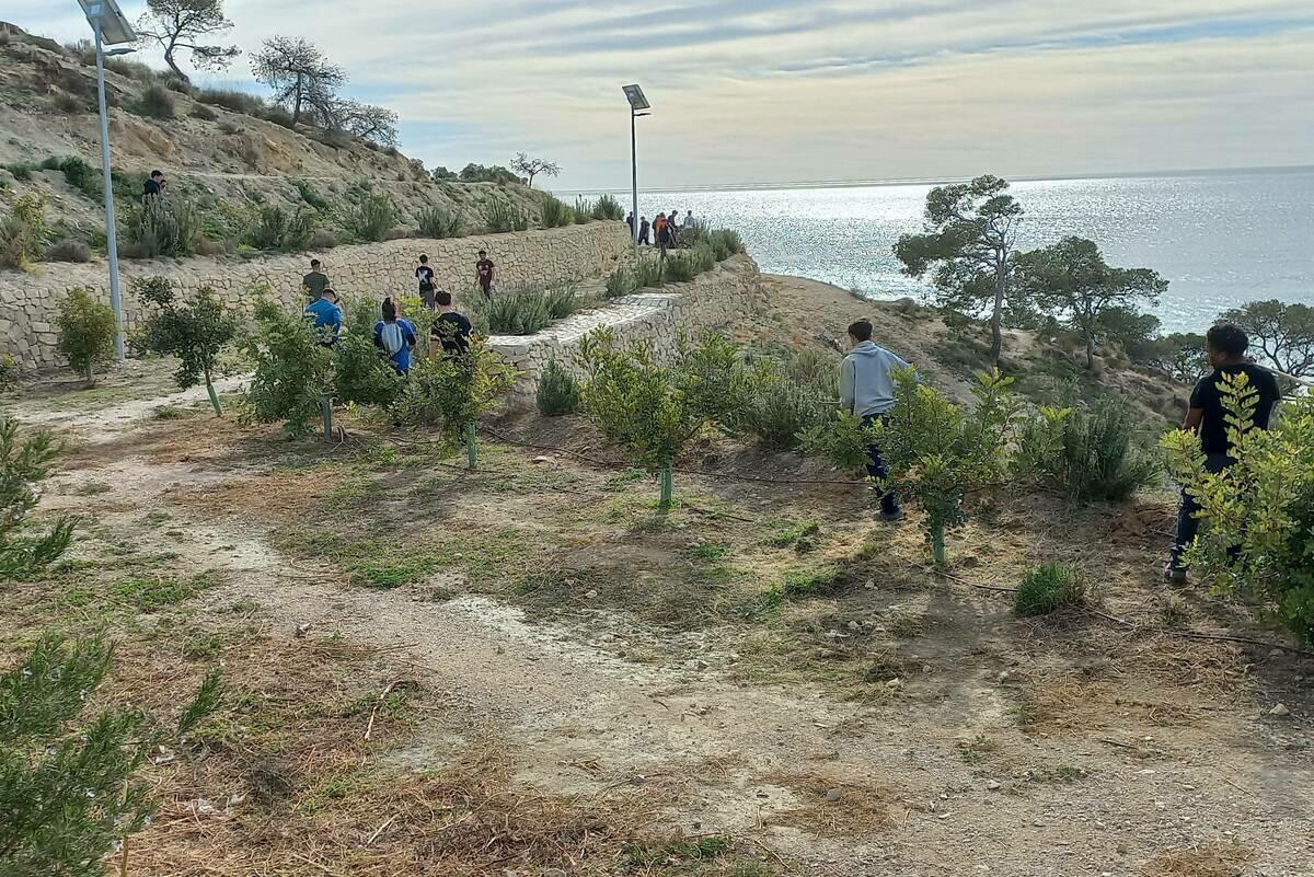 180 alumnos participan en una jornada de reforestaci&oacute;n en la Malladeta de Villajoyosa por el D&iacute;a del &Aacute;rbol