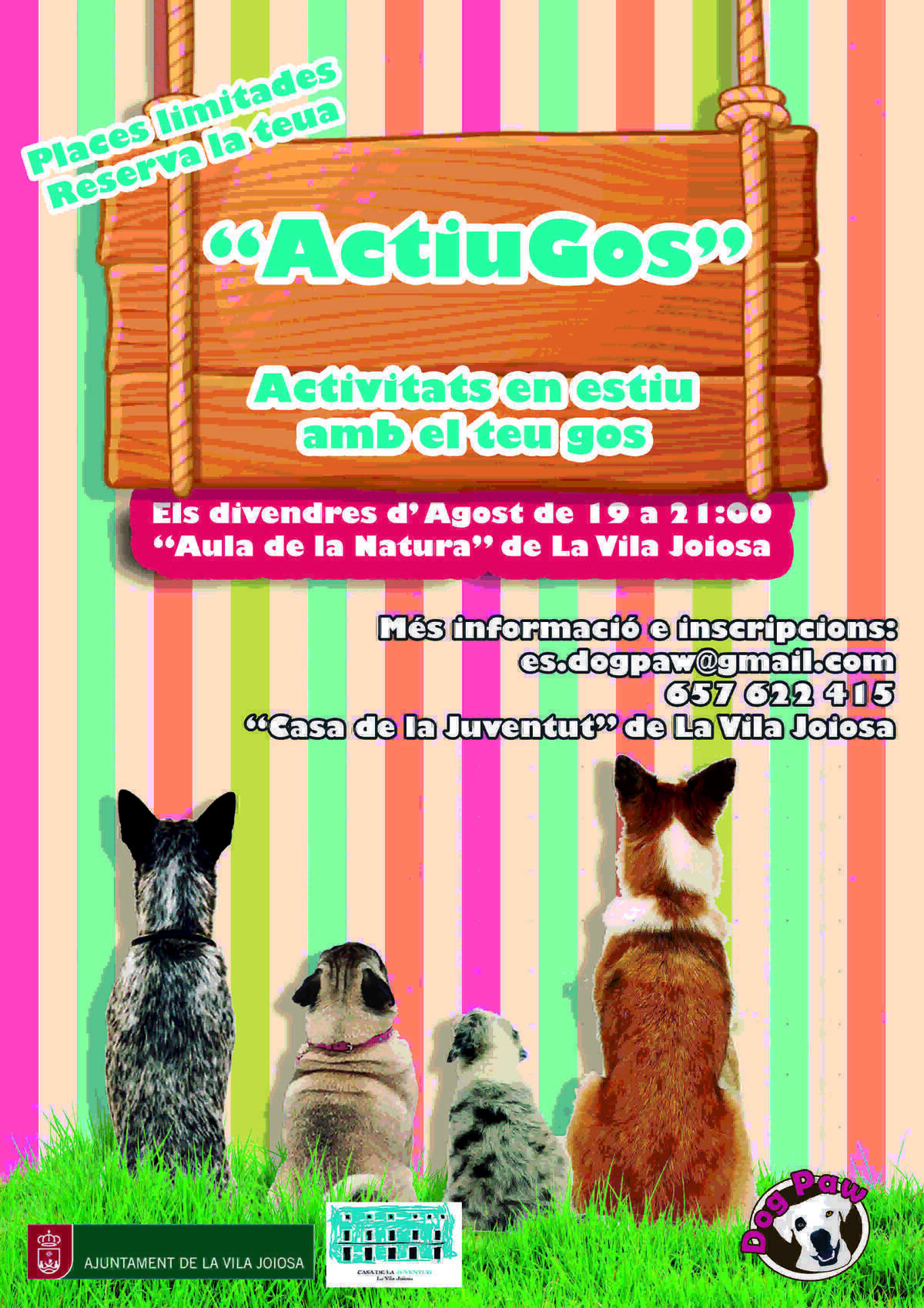 Villajoyosa &middot; La concejal&iacute;a de Juventud y Dog Paw crean el proyecto &ldquo;ActiuGos&rdquo; para disfrutar de actividades l&uacute;dicas perros este verano