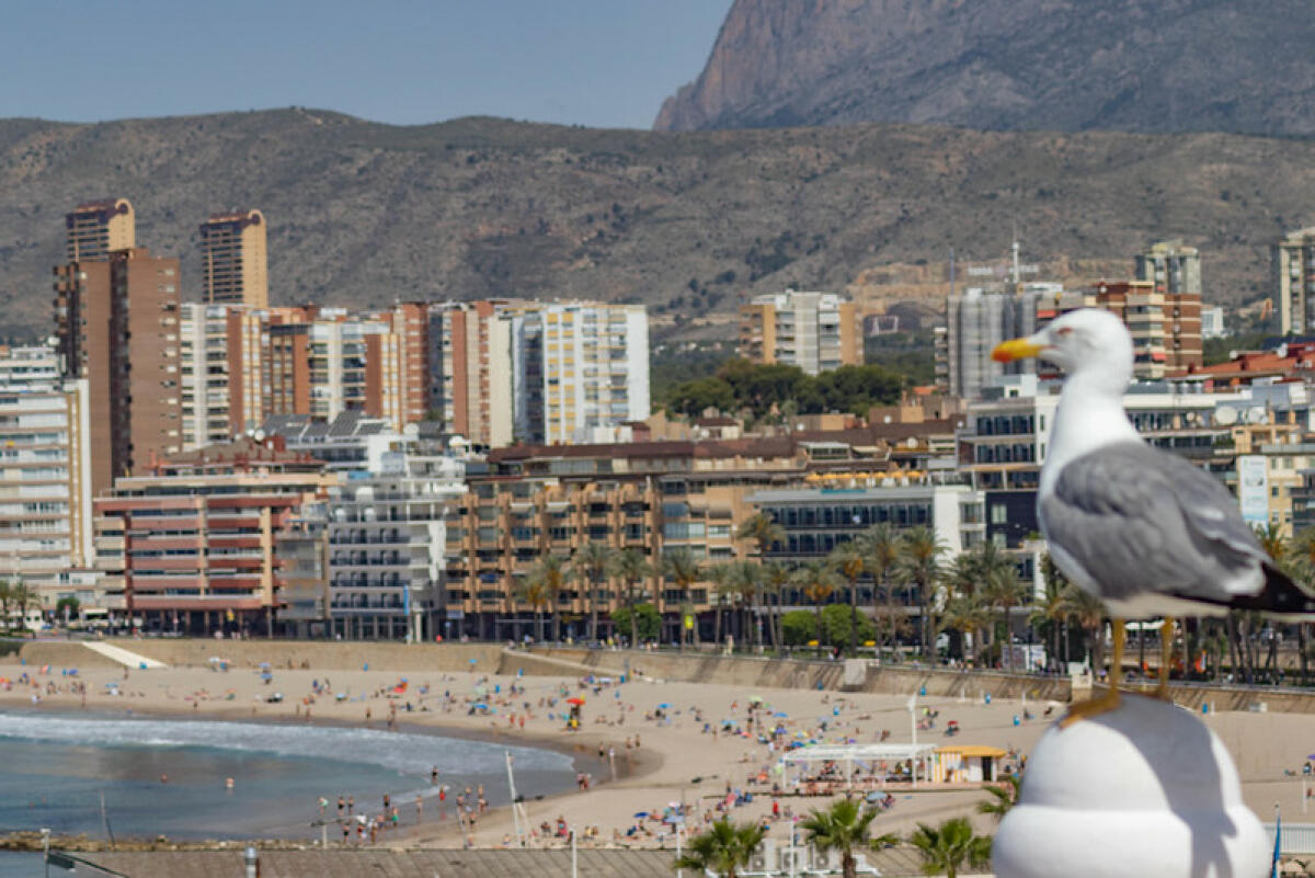 Benidorm aprueba la concesión de 647.278 euros en ayudas a pymes y autónomos para minimizar el impacto económico de la guerra de Ucrania  