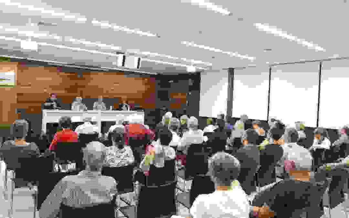 El Acoso Escolar a la palestra en el Seminario de Johan Galtung en l&rsquo;Alf&agrave;s