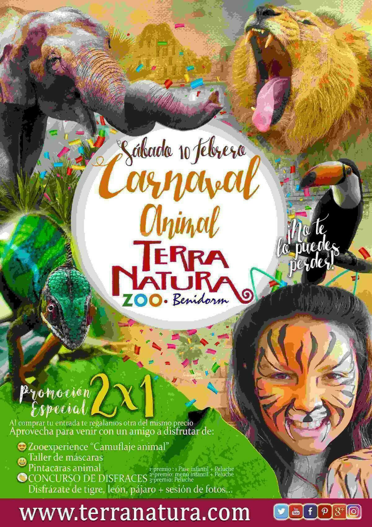 Terra Natura Benidorm crea un programa de actividades de Carnaval basado en el mimetismo de sus animales