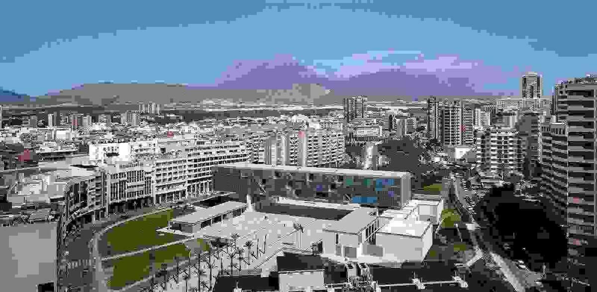 Benidorm promover&aacute; la inclusi&oacute;n a trav&eacute;s del Consejo Municipal de Personas con Diversidad Funcional