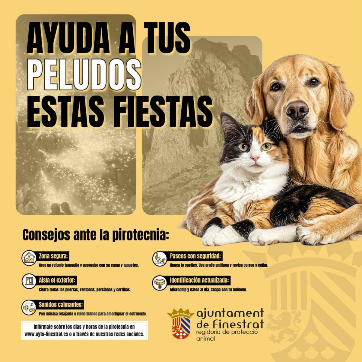 Recomendaciones para garantizar unas fiestas seguras y tranquilas tambi&eacute;n a nuestras mascotas