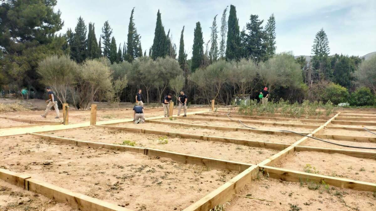 Medio Ambiente abre el lunes el plazo para optar a los 48 nuevos huertos urbanos en l&rsquo;Horta 