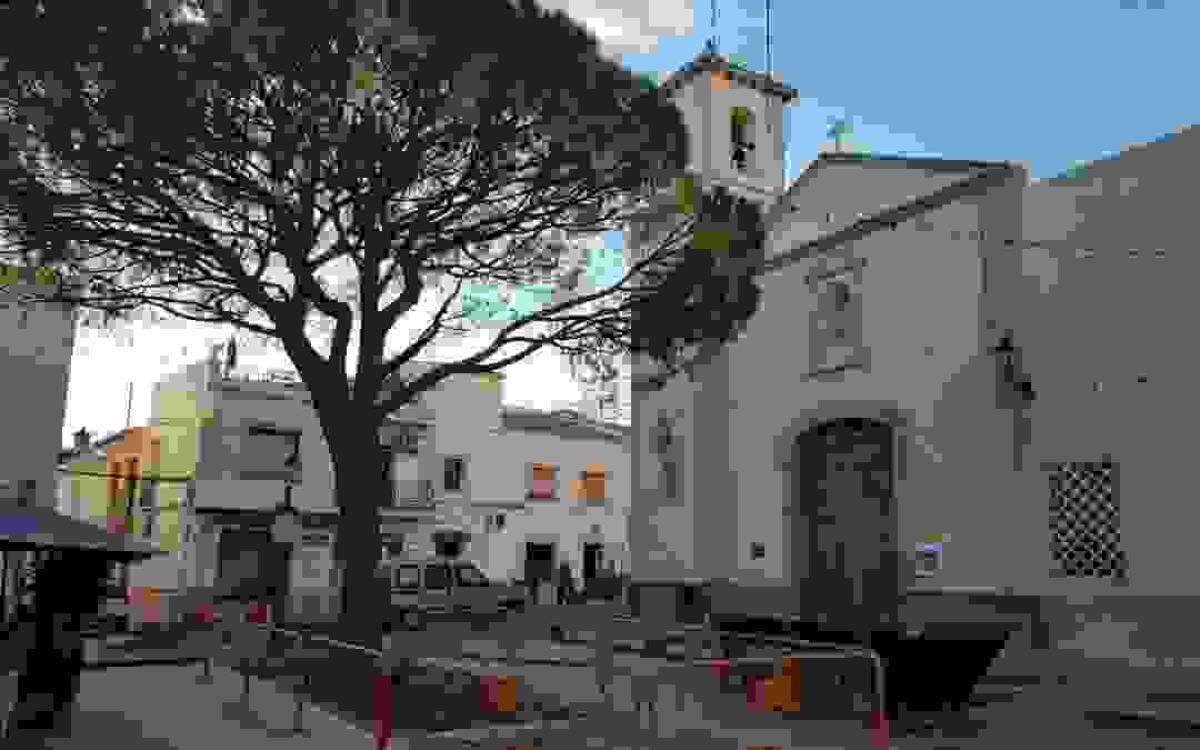L’Alfàs plantará en abril un nuevo pino en la plaza Mayor