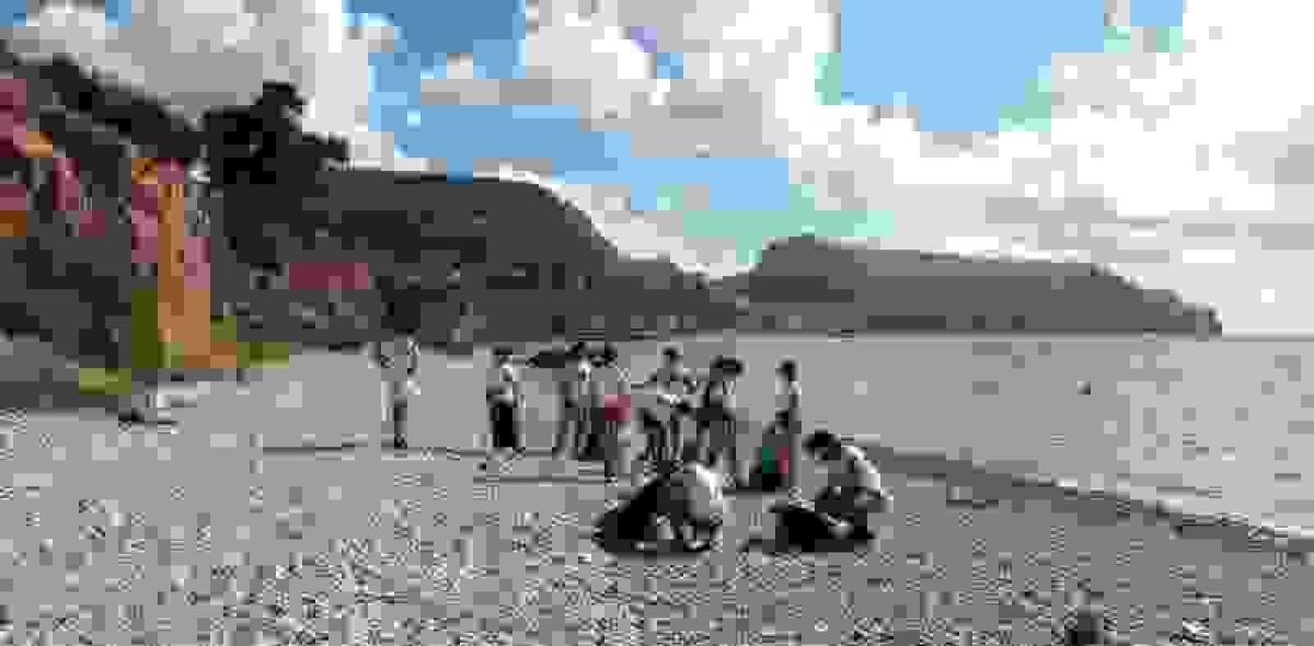 Altea &middot; Voluntarios de la ONG De Amicitia colaboran en la limpieza de la playa tras el Castell de l&rsquo;Olla junto a la empresa Greenwichdiving