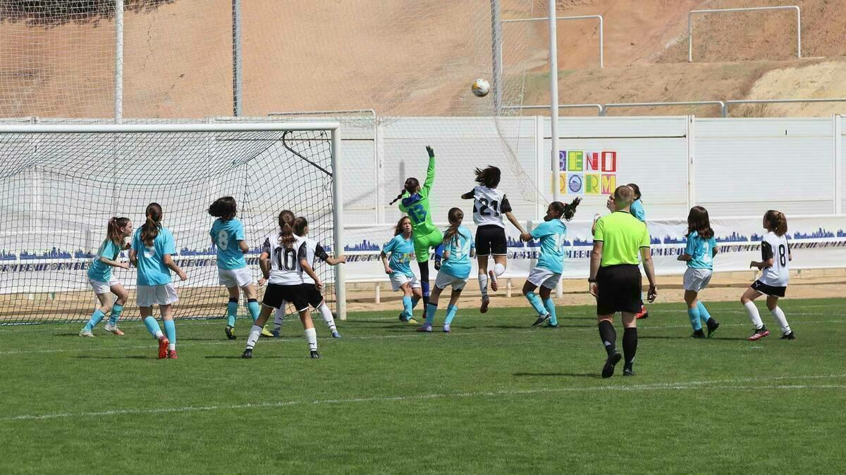 Benidorm destina 100.000 euros en ayudas a asociaciones y clubs deportivos locales con equipos femeninos  