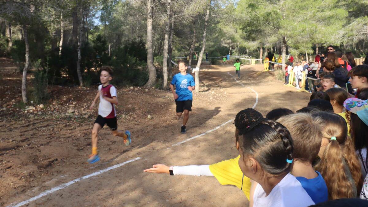 Más de 400 alumnos participan en El Moralet en la XXVIII edición del Cross Escolar de Benidorm 