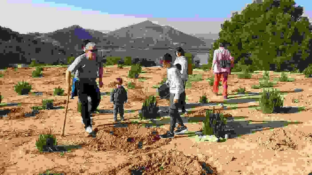 El Ayuntamiento de la Vila celebrará el Día del Árbol con una plantación de árboles en la partida  La Robella