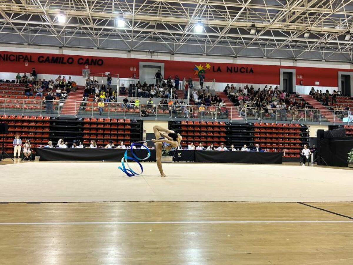 Las gimnastas nucieras consiguieron 3 pódiums en el Provincial Absoluto