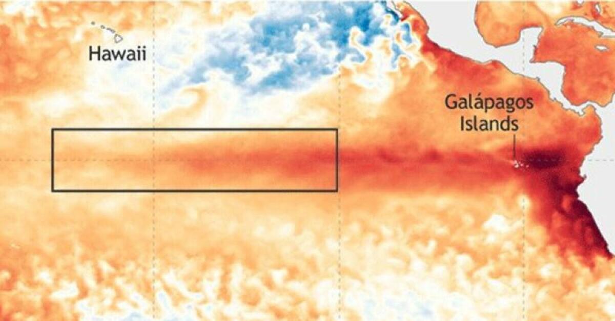 Hay un 98% de posibilidades de que los próximos cinco años sean un horno. Todo gracias a El Niño