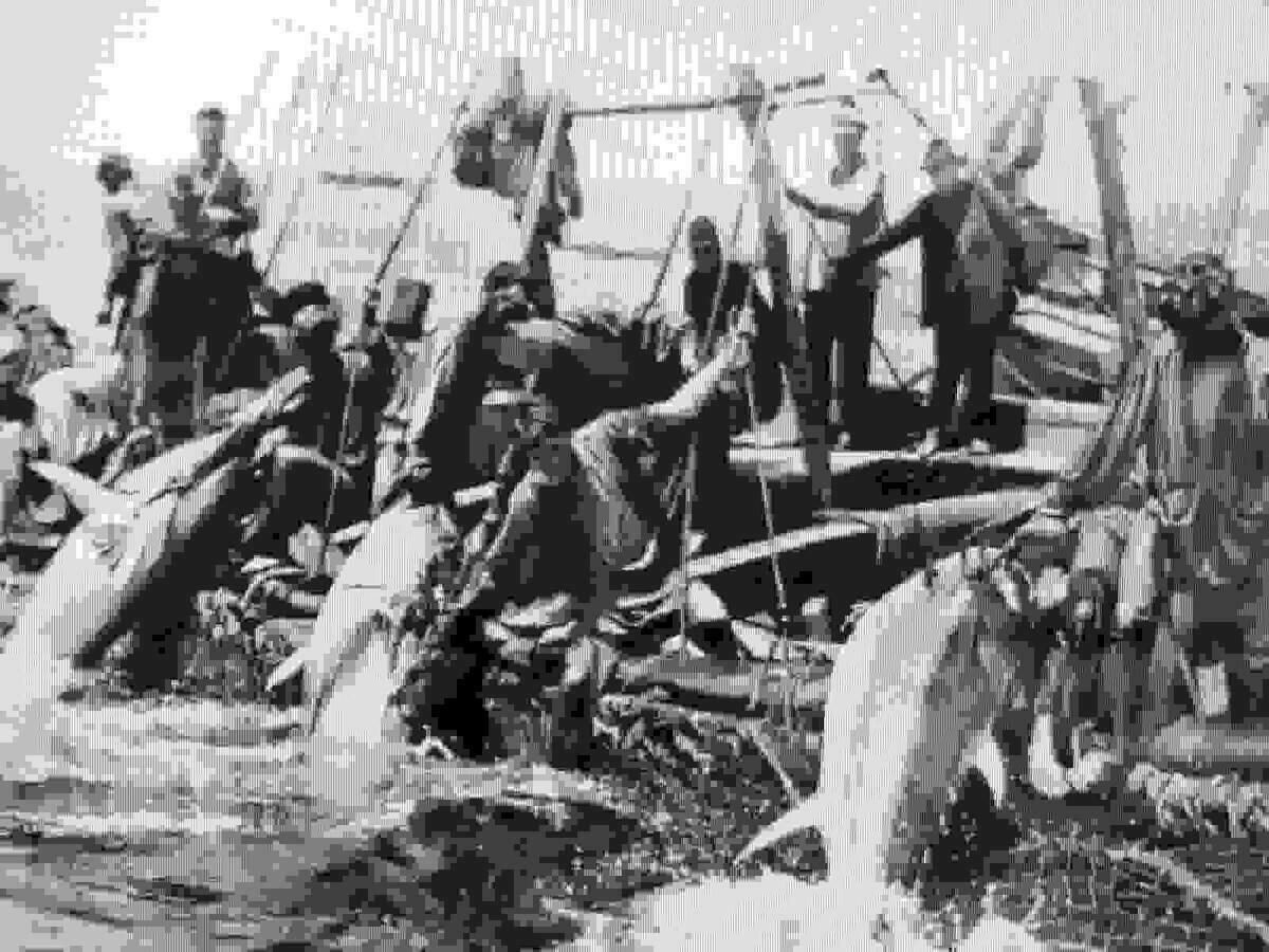 La Regata L&rsquo;Almadrava de la Marina rememora la pesca del at&uacute;n