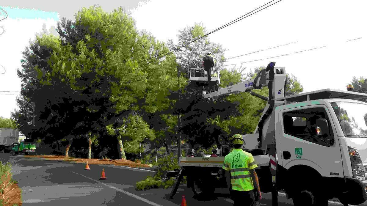 Los servicios t&eacute;cnicos municipales atienden las propuestas de los vecinos en 24 horas