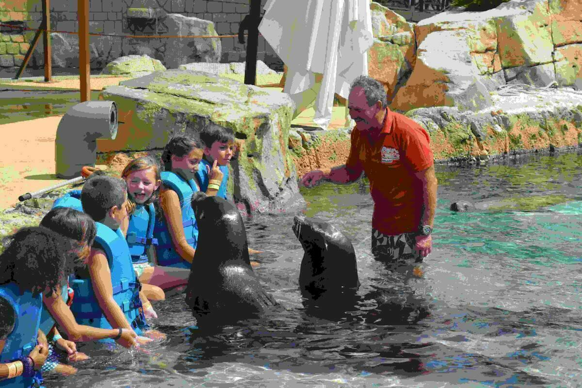 La Escuela de Verano de Terra Natura Benidorm centra su programa de actividades en la diversión y la importancia de la biodiversidad del planeta