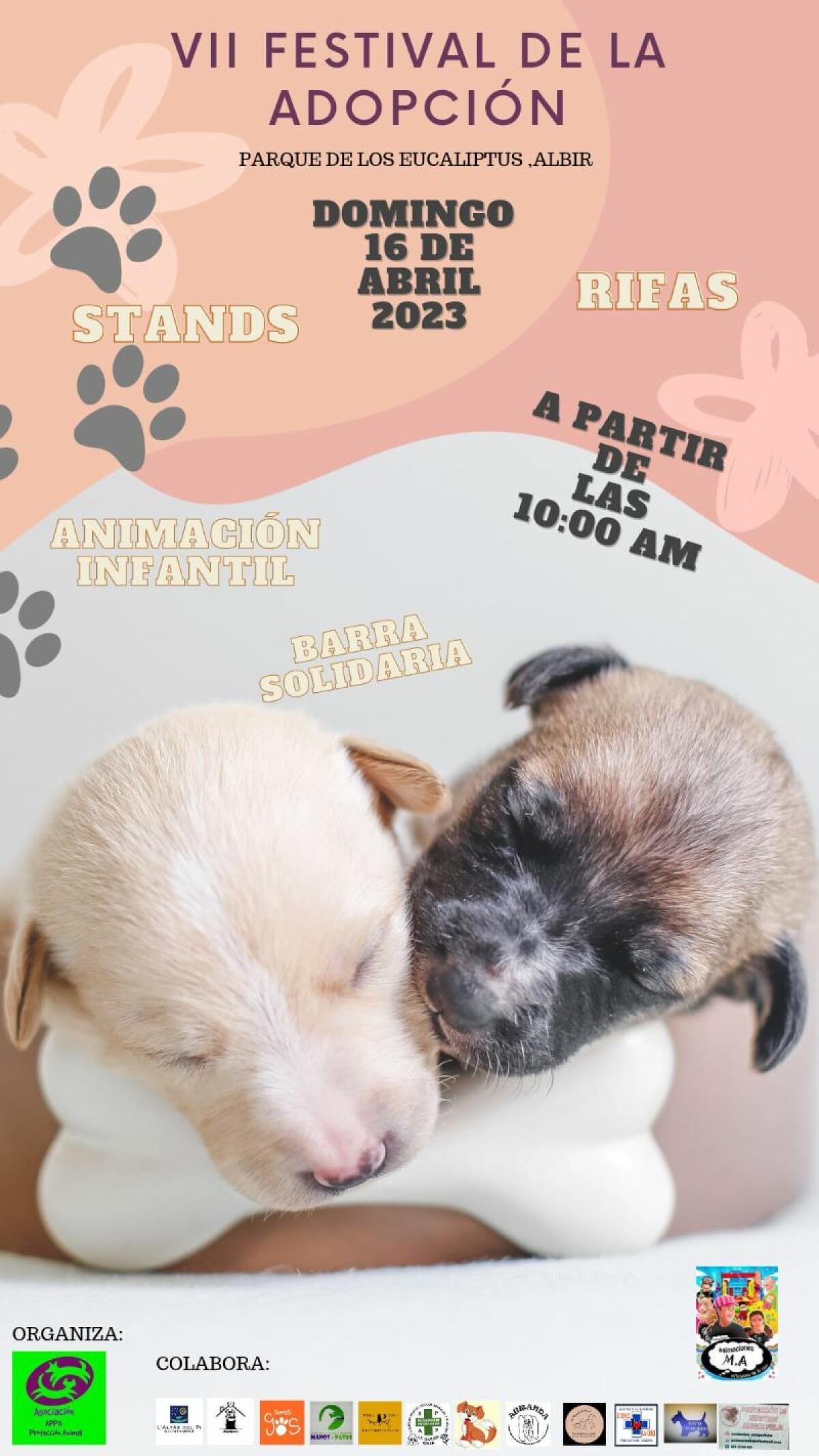 L’Alfàs acoge este domingo el VII Festival de la Adopción 