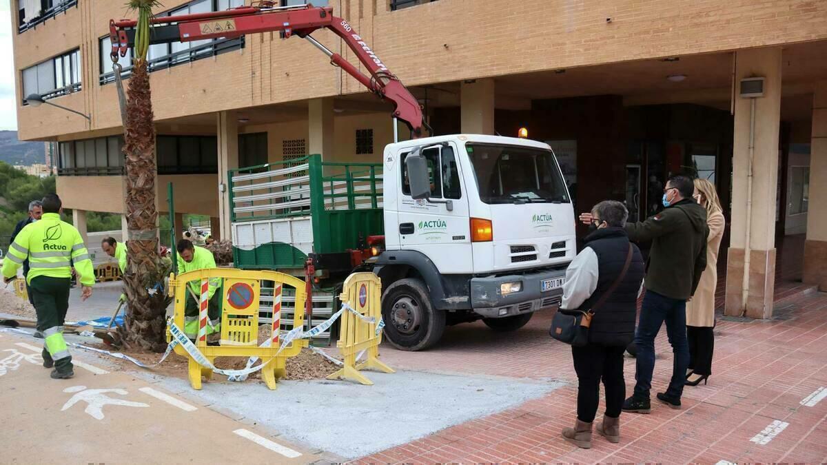 Benidorm ejecuta la renovación integral de la calle Callosa d’en Sarrià