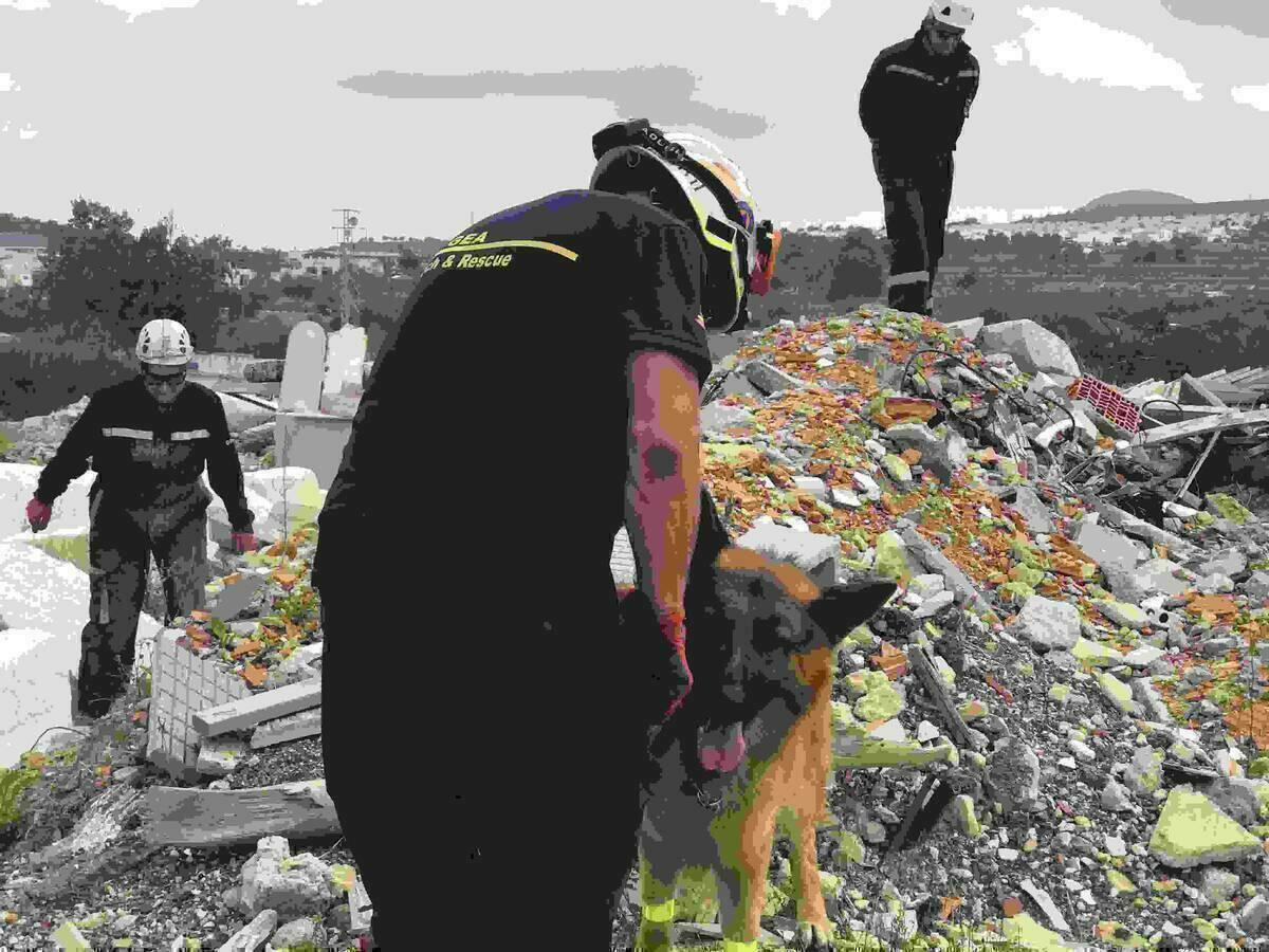 Los GEA de C&aacute;diz y Alicante entrenan  sus &ldquo;perros de rescate&rdquo; en La Nuc&iacute;a