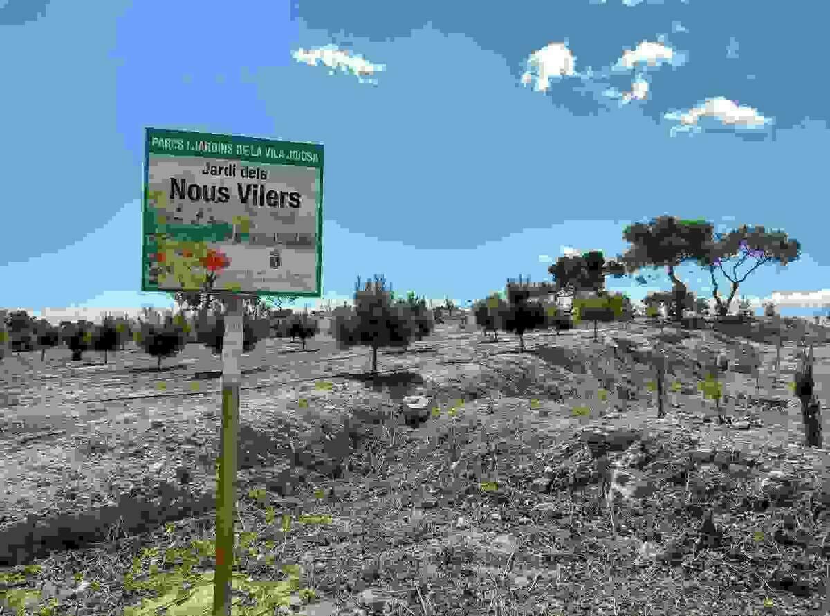 Más de 500 personas participaron en la tercera edición de ‘Arbre per naixement’ en La Vila
