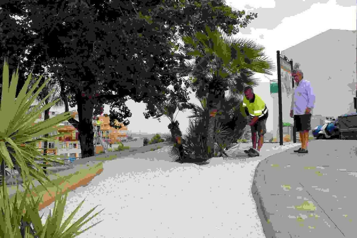 Callosa &middot; Servicios T&eacute;cnicos remodela las zonas ajardinadas de la pla&ccedil;a Llaurador