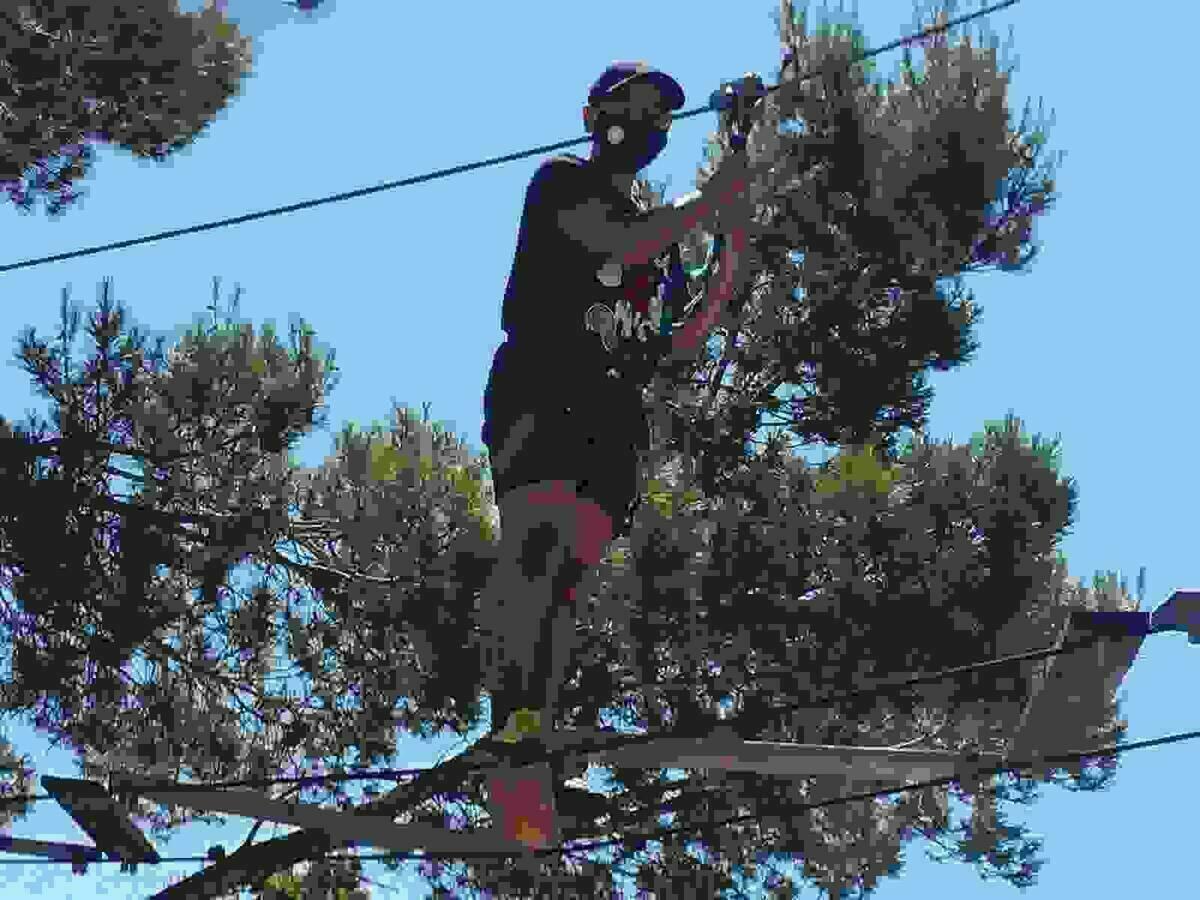 El Parque de Aventura de La Nuc&iacute;a &ldquo;TirolinasGO&rdquo; reabre sus puertas.