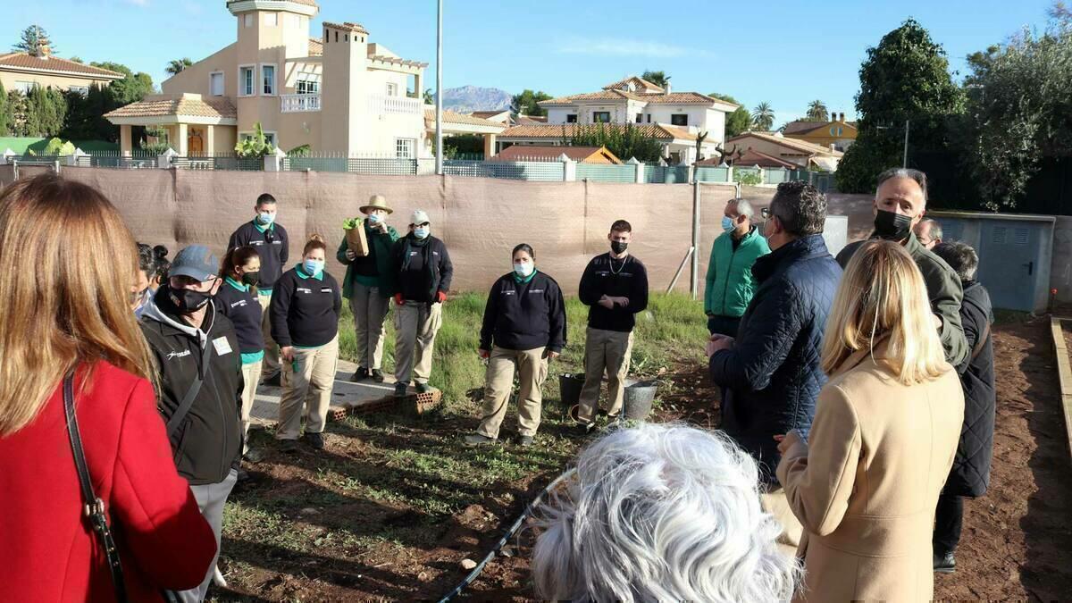 Benidorm ejecuta 56 nuevos huertos urbanos en l’Horta con l’Escola d’Ocupaciò Et Formem 