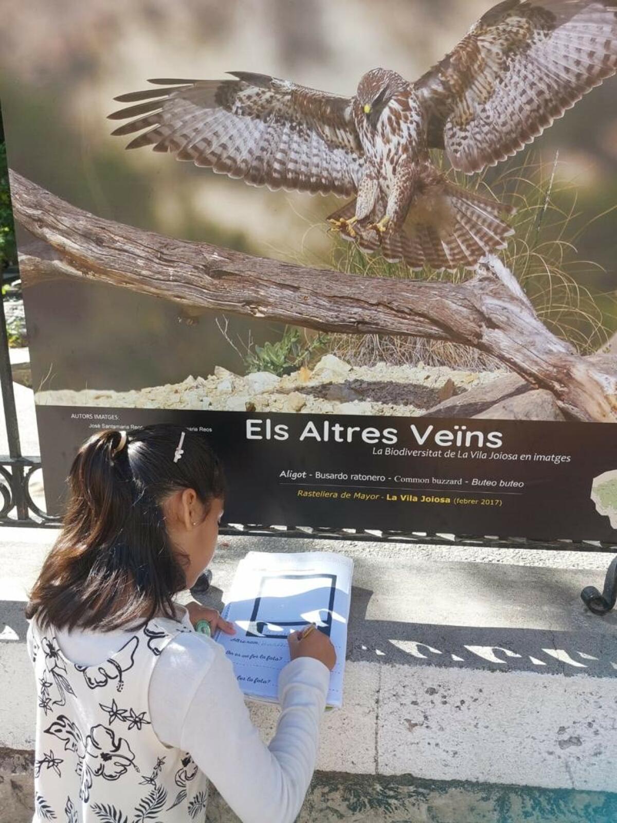 La concejalía de Educación distribuye material didáctico relacionado con la exposición “Els altres veïns” entre los centros educativos de Primaria de la Vila Joiosa