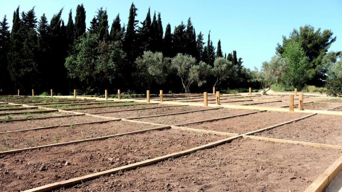 Medio Ambiente abre el viernes la solicitud para los nuevos 49 huertos urbanos en l’Horta