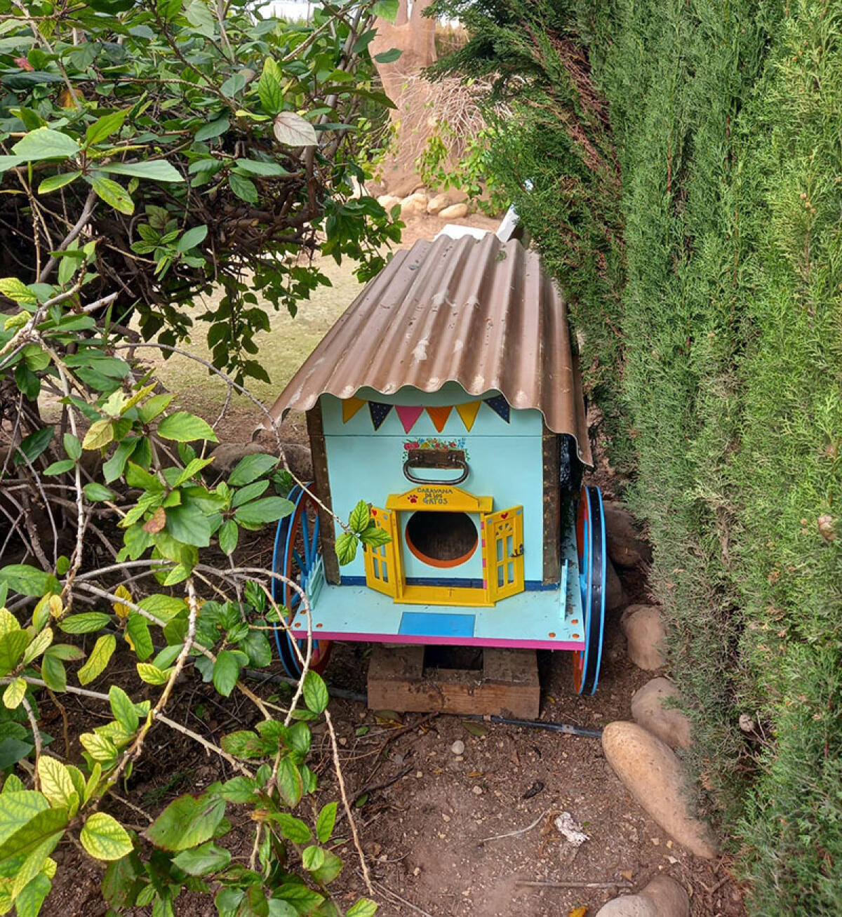 Altea instala quince nuevas casitas para gatos