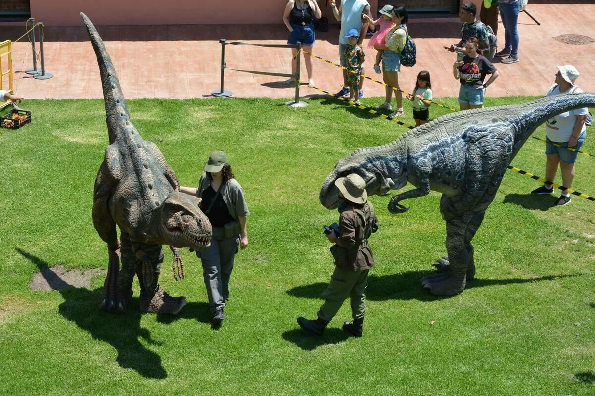 Terra Natura Benidorm recrea el periodo Jurásico con una experiencia protagonizada por dinosaurios