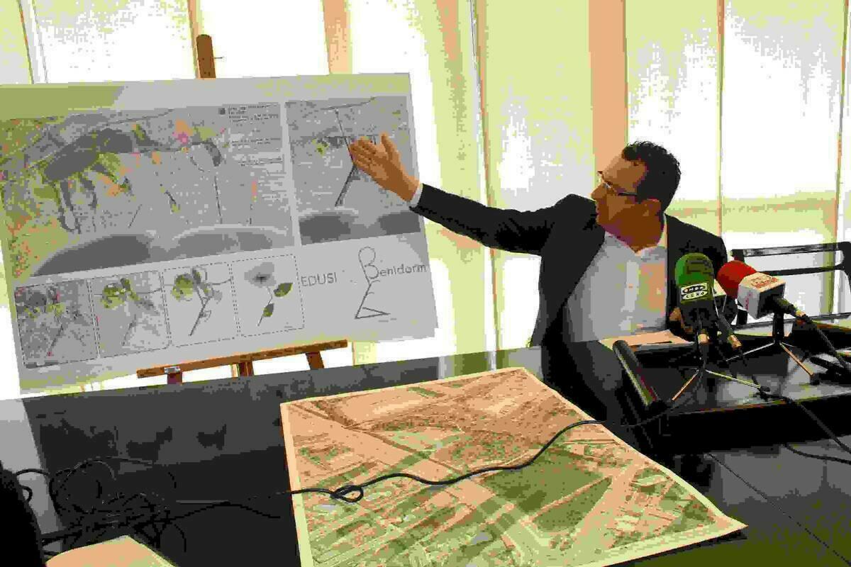   Benidorm recibe 10 millones de euros para desarrollar la EDUSI