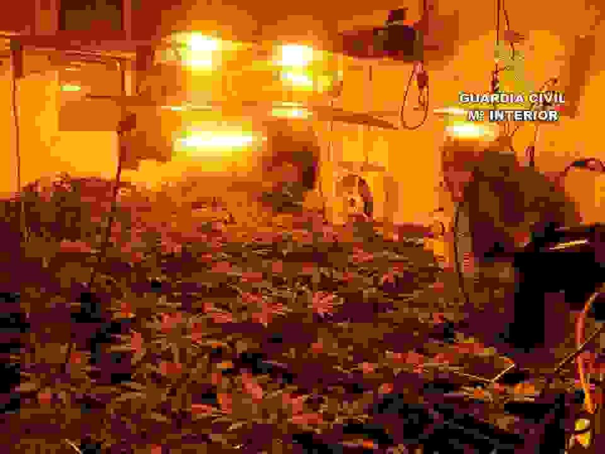 La Guardia Civil desarticula un punto de venta de drogas a menores en Rojales.