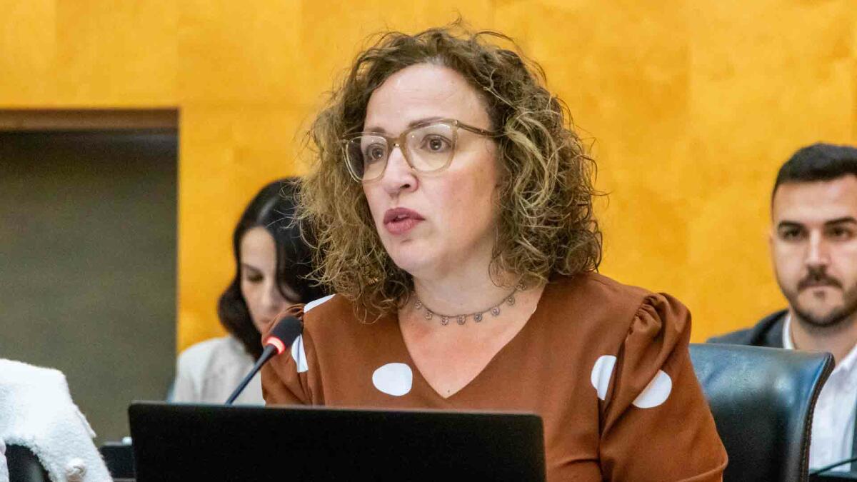 Caselles: &ldquo;Como ya dijimos, el PSOE pretende hacer pasar por suyos proyectos del PP para el Rinc&oacute;n de Loix&rdquo; 