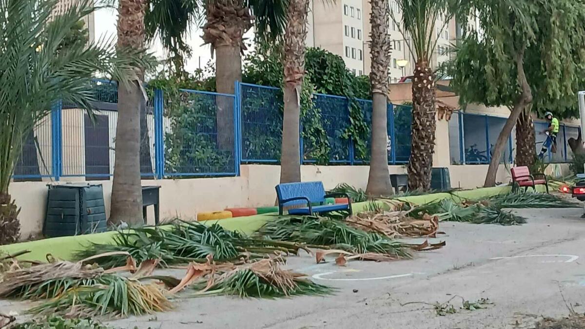 Benidorm realiza mejoras en la jardiner&iacute;a de 13 colegios antes del inicio del curso escolar 