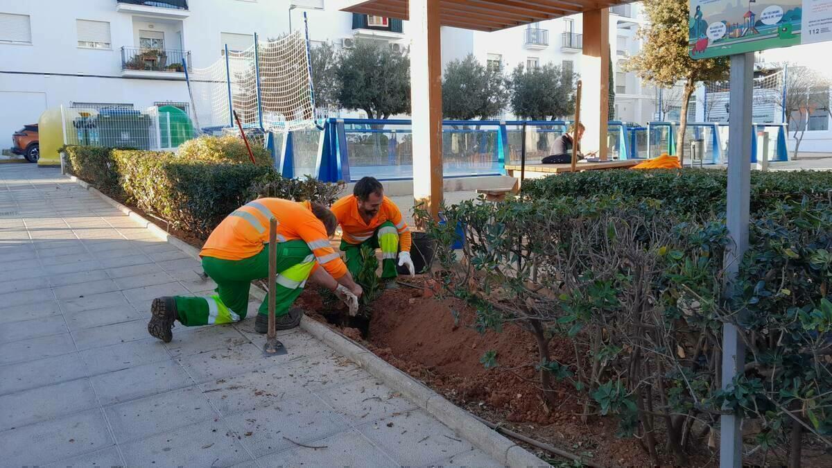 La Pública continua millorant els jardins d'Altea 