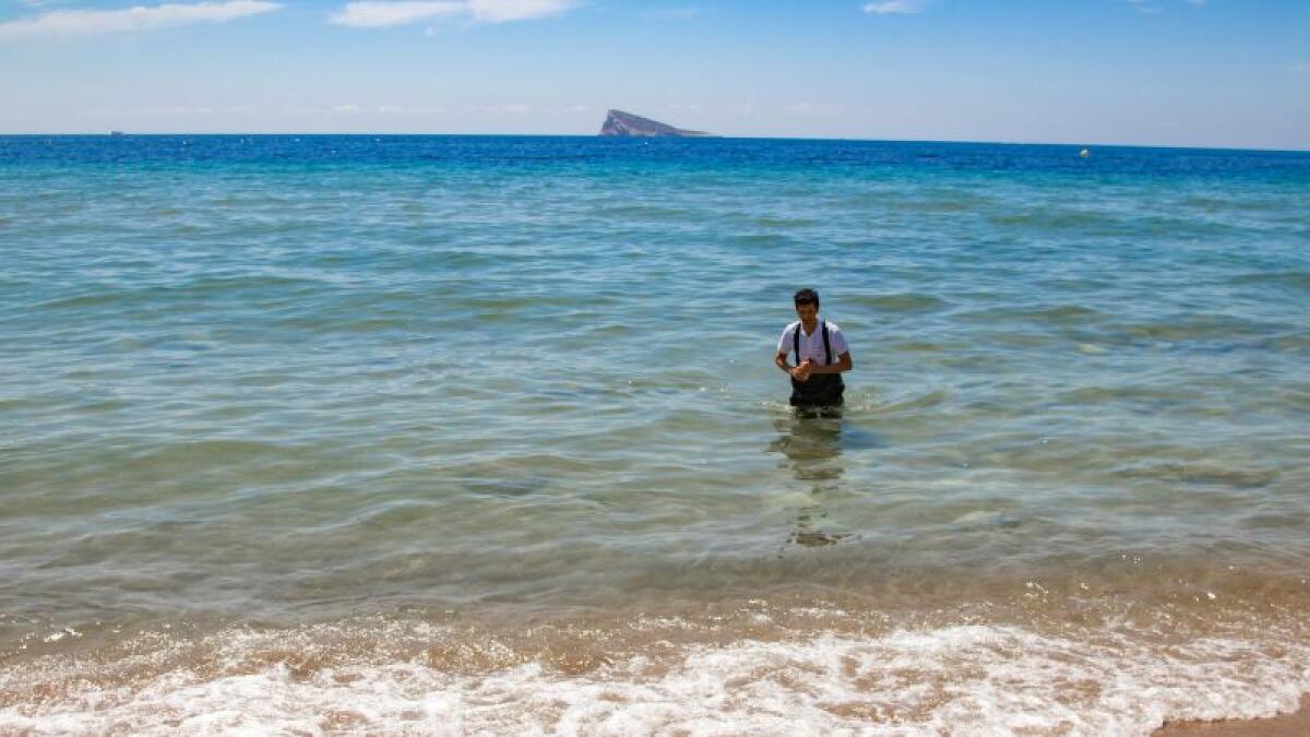 La calidad del agua de las playas de Benidorm, excelente un verano más