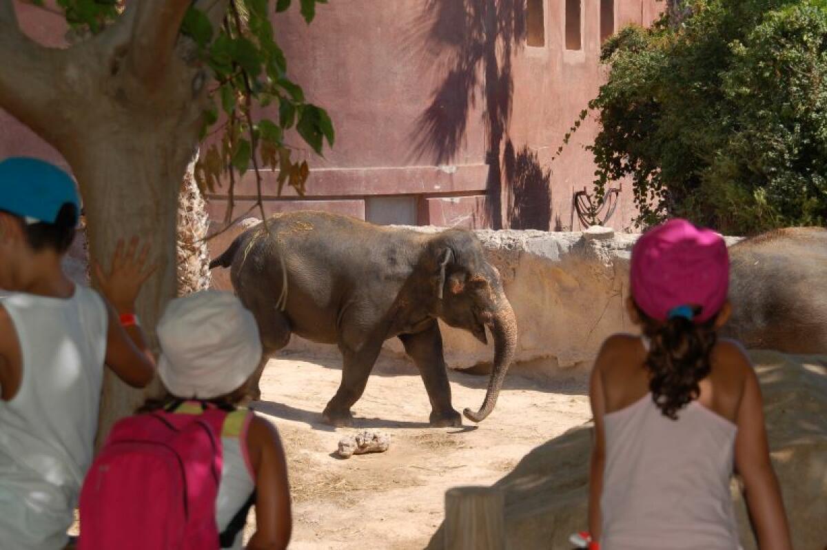 El conocimiento de la biodiversidad conecta la oferta educativa de Terra Natura Benidorm para este nuevo curso