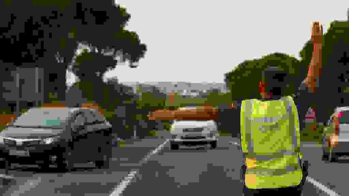 255 conductores pasan a disposici&oacute;n judicial durante el pasado mes de abril por delitos contra la seguridad vial 