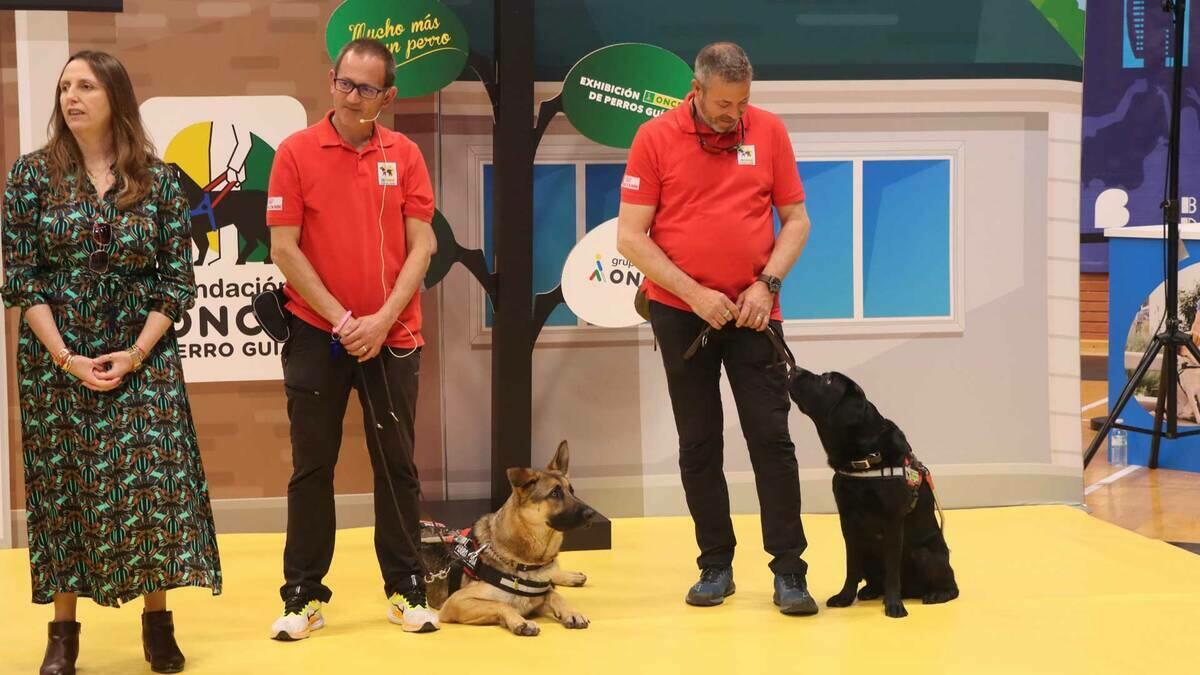 El Palau acoge una exhibición de perros guía de la ONCE para sensibilizar a los escolares sobre la accesibilidad de las personas ciegas