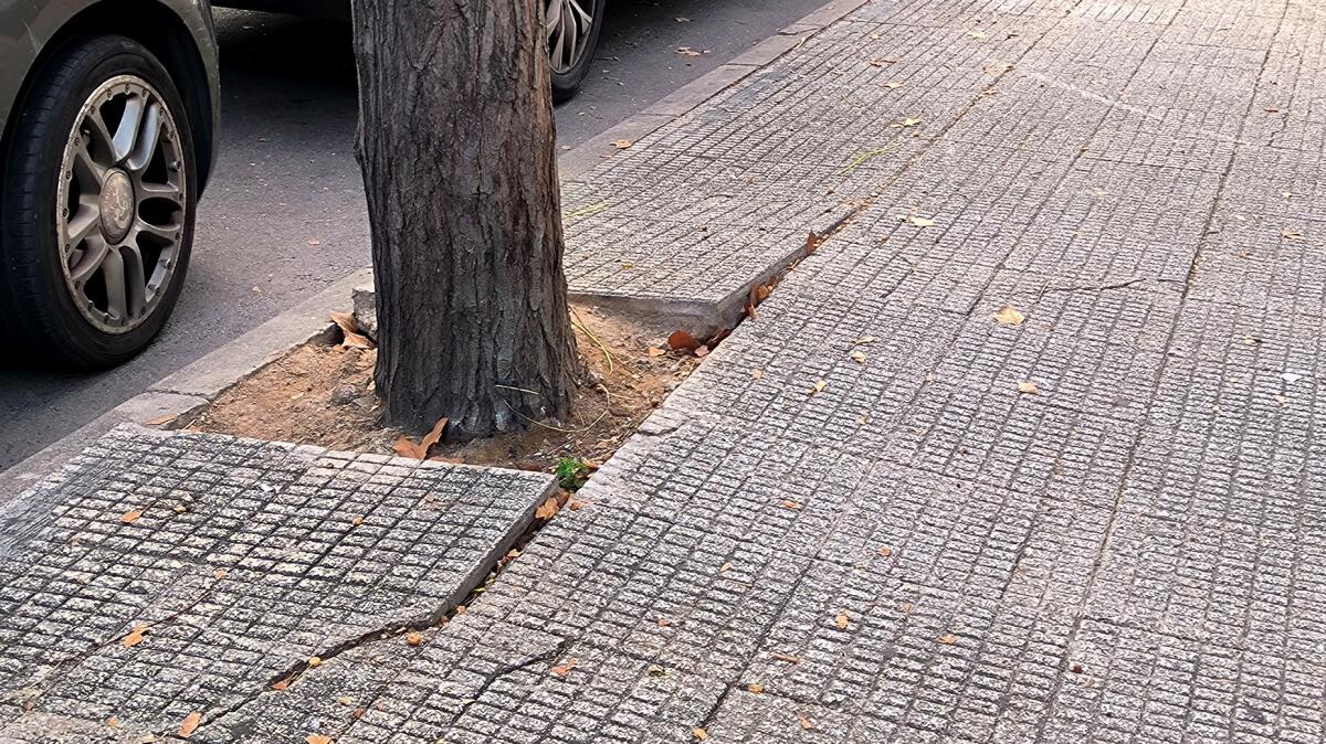 El PSOE reclama un plan urgente de reparación de aceras para evitar caídas y accidentes