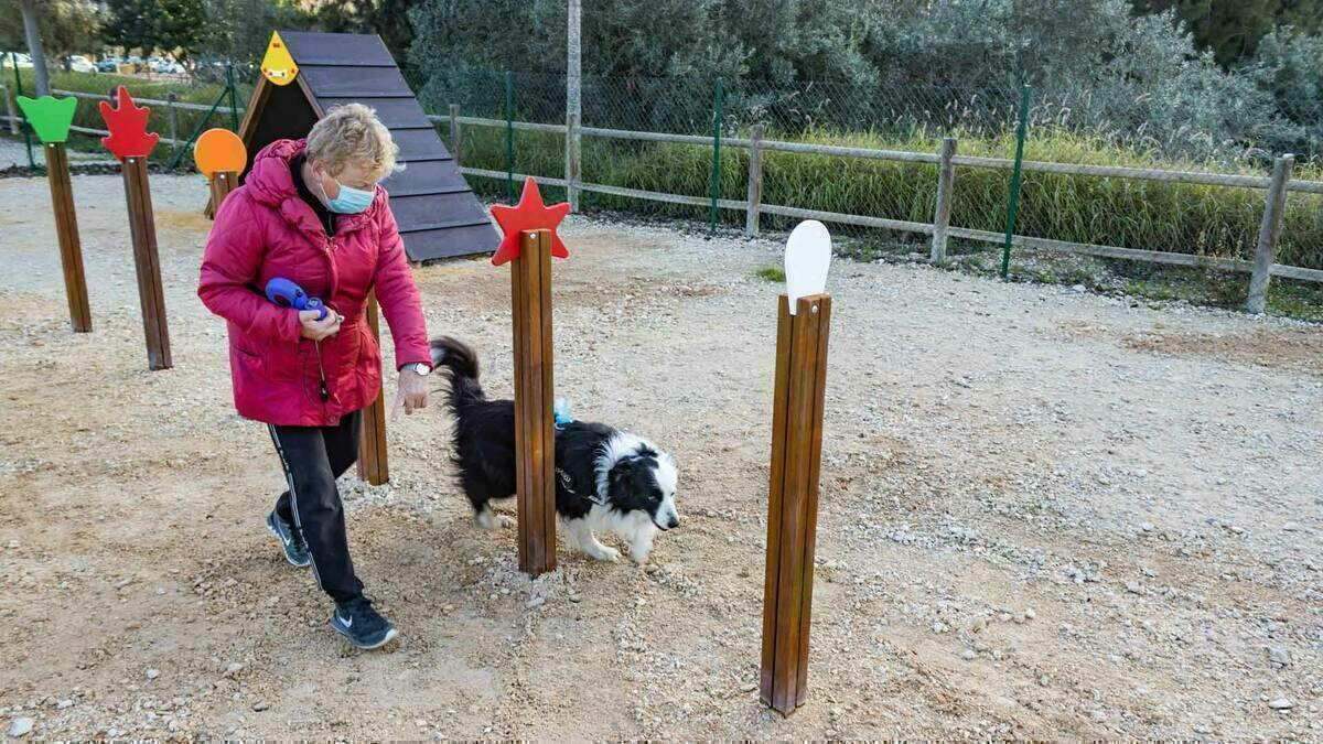 Benidorm incorpora una zona ‘Agility’ al Benicán del Rincón de Loix