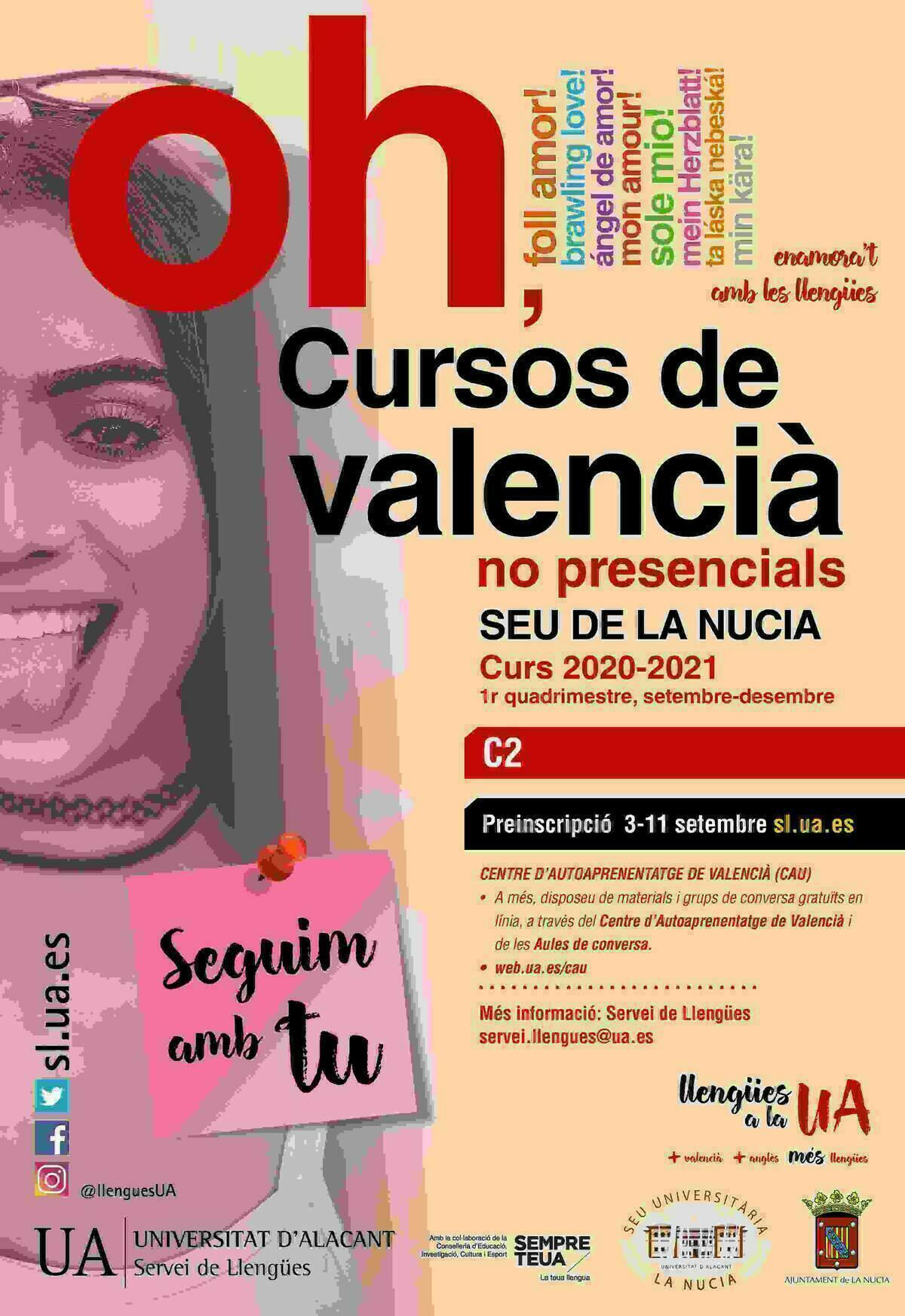 Curs Superior de Valenci&agrave; (C2) &ldquo;no presencial&rdquo;  de la UA