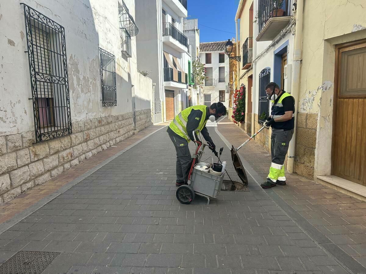 La Nucía realiza tratamientos de desinsectación de cucarachas