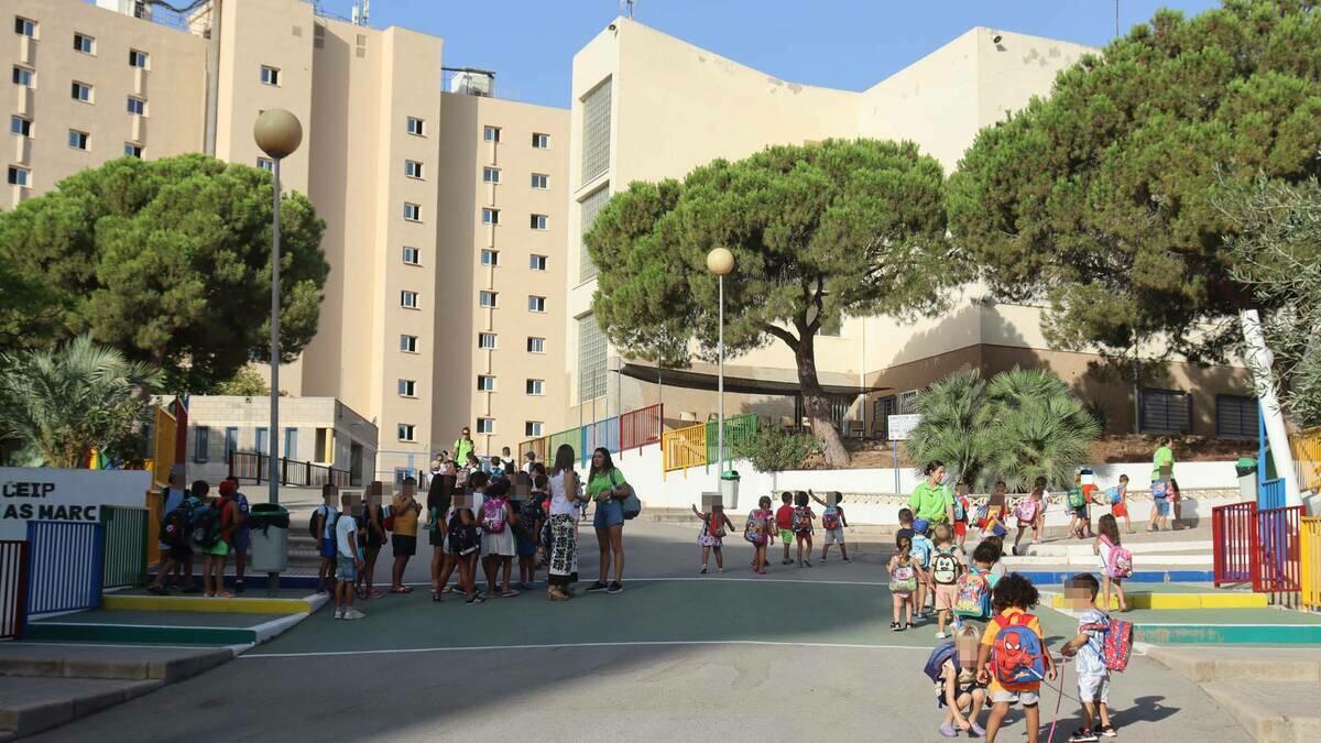 Benidorm licita la asistencia técnica para redactar el proyecto y dirigir las obras de reforma del colegio Ausiàs March