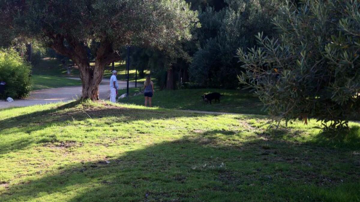 Benidorm culmina la renovación y mejora del parque urbano del Rincón de Loix 