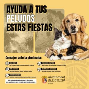 Recomendaciones para garantizar unas fiestas seguras y tranquilas tambi&eacute;n a nuestras mascotas